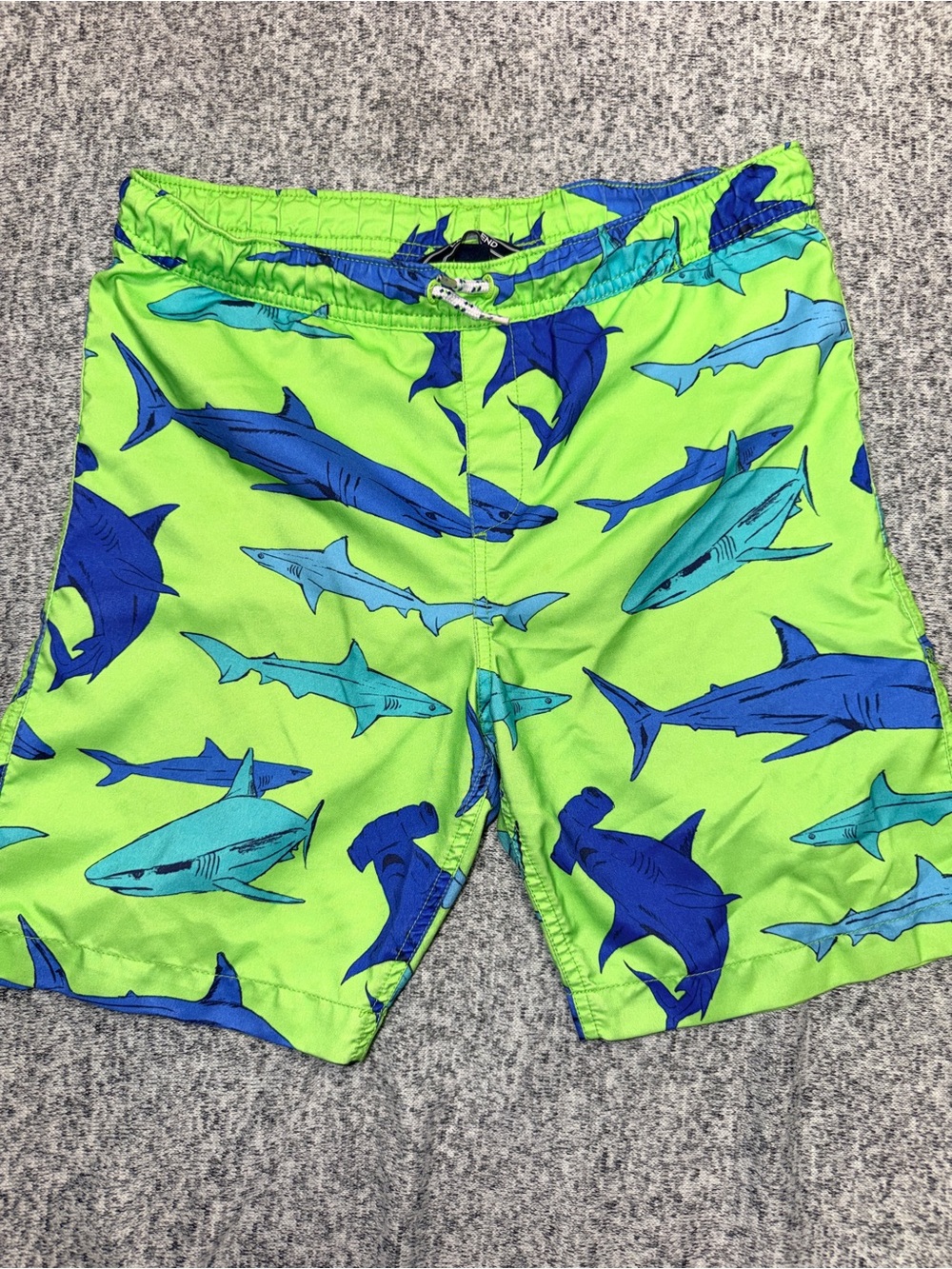 Kids Swim Trunk with Blue Shark Print - Lime Green size large